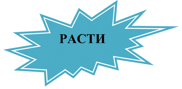 Пятно 2: РАСТИ